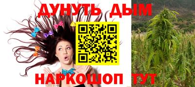 гидра Балашиха