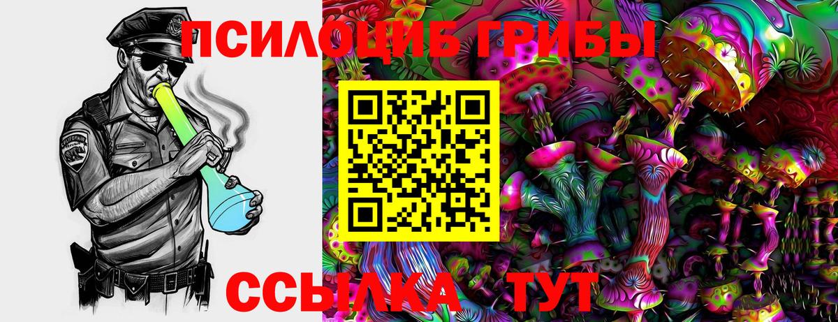 Волжский  Псилоцибиновые грибы GOLDEN TEACHER  где купить наркоту  Вход с VPN 